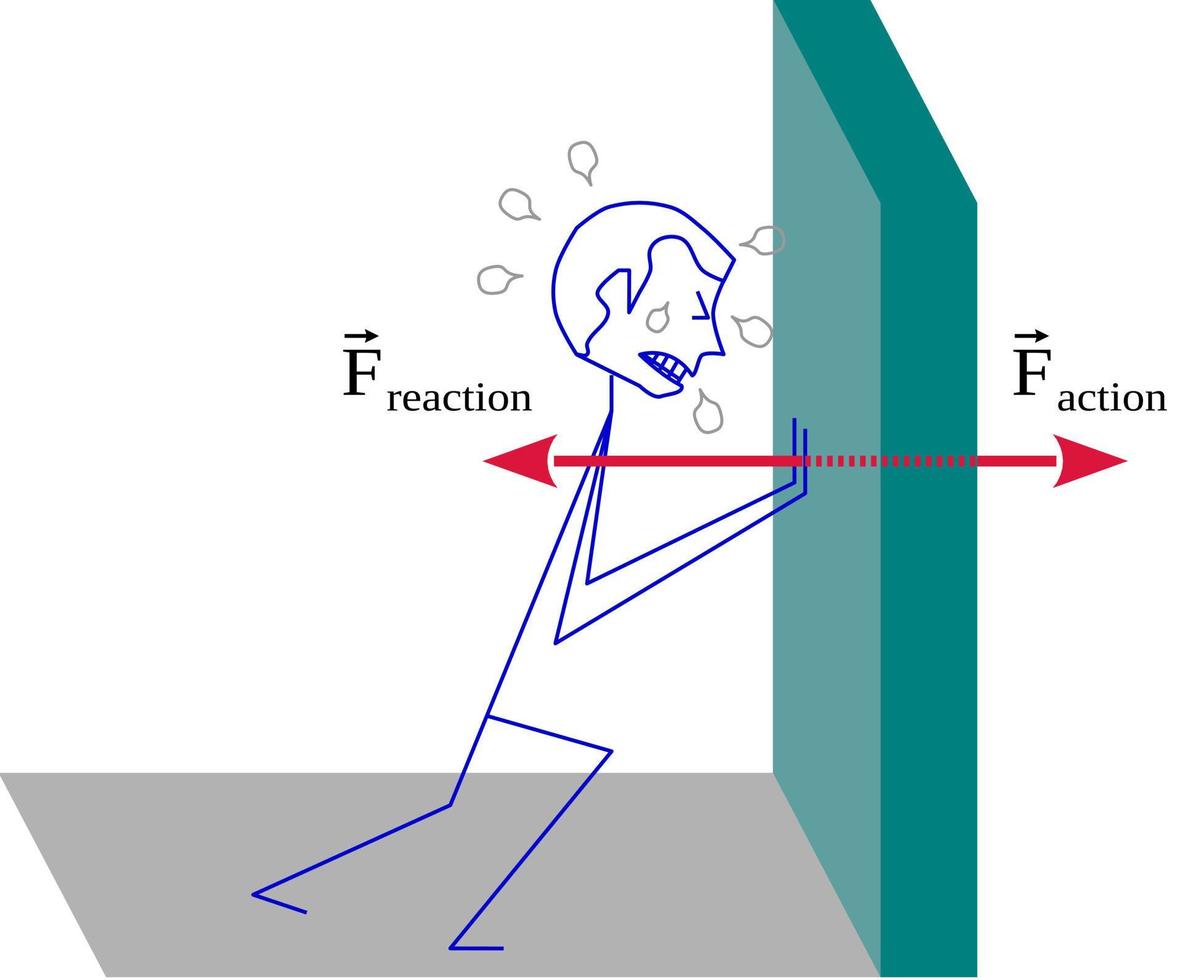 Tercera ley de newton