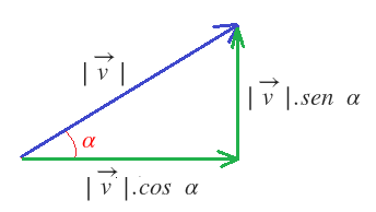 componentes vectoriales 