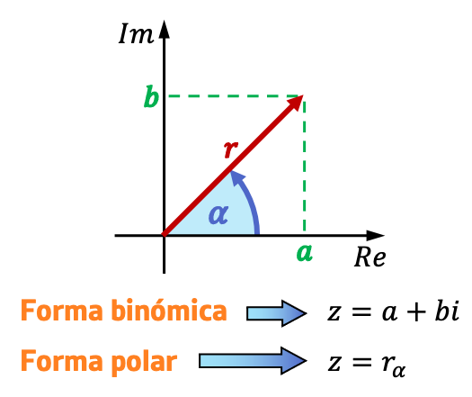 Forma polar 