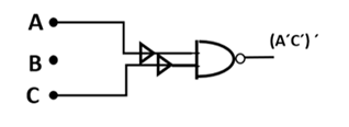 circuito 12